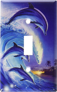 UV Printed Decorator Wall Plate Light Switch Electric Outlet Cover