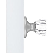 Load image into Gallery viewer, Dummy